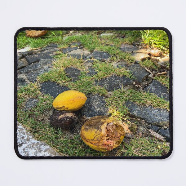 Item preview, Tropical Yellow Almond Cobblestone Street Nature Photography designed and sold by Ayiti-Mar.