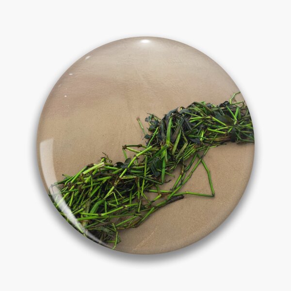 Item preview, Gree Seagrass Tropical Beach Sand Coastal Nature Photography designed and sold by Ayiti-Mar.