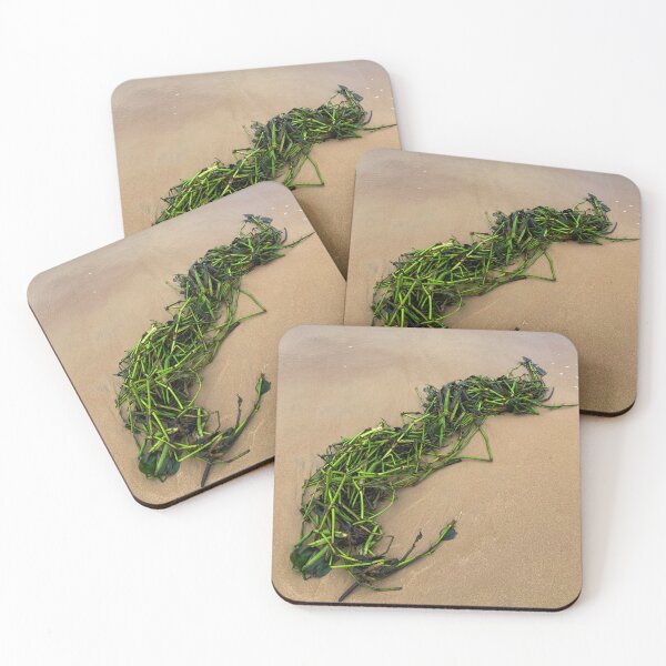 Item preview, Gree Seagrass Tropical Beach Sand Coastal Nature Photography designed and sold by Ayiti-Mar.