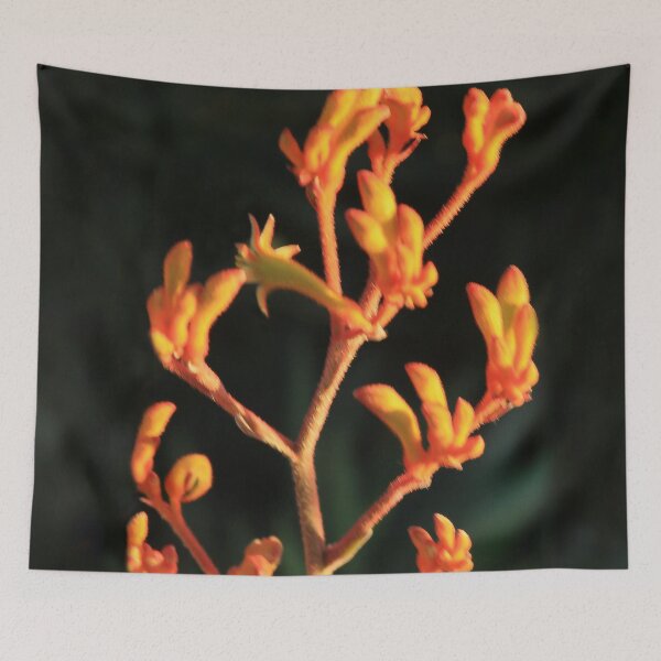Item preview, Shining Bright  designed and sold by heatherfriedman.