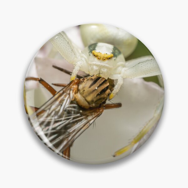Item preview, The Ambush — White Crab Spider and Fly on a White Flower designed and sold by Rabee Khalil Photography.