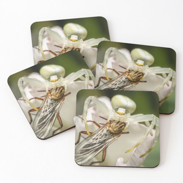 Item preview, The Ambush — White Crab Spider and Fly on a White Flower designed and sold by Rabee Khalil Photography.