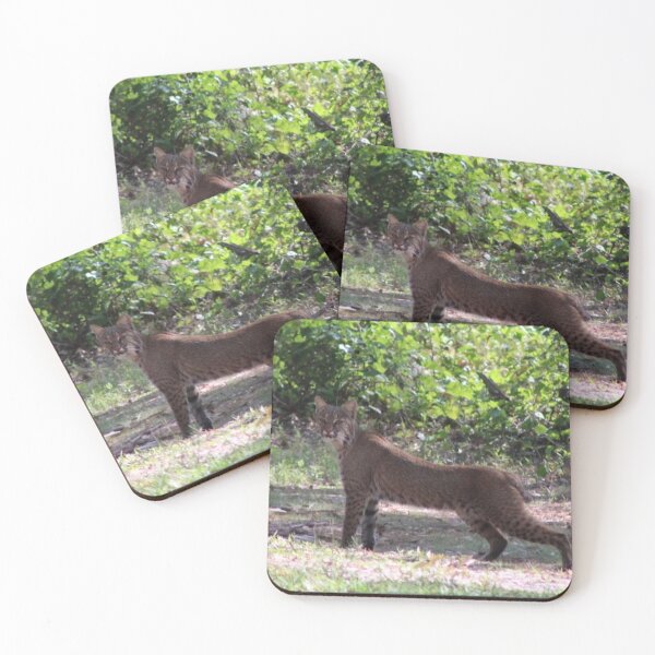 Item preview, The bobcat #2 designed and sold by Jmb67.