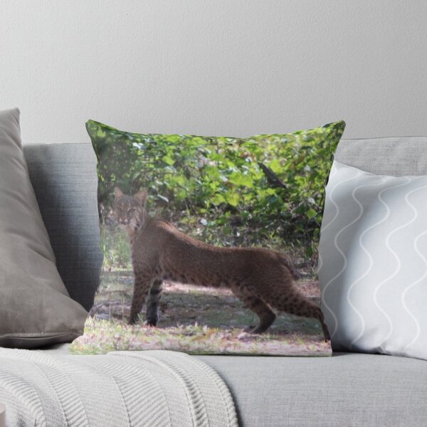 Item preview, The bobcat #2 designed and sold by Jmb67.