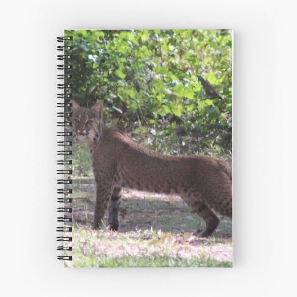 Item preview, The bobcat #2 designed and sold by Jmb67.