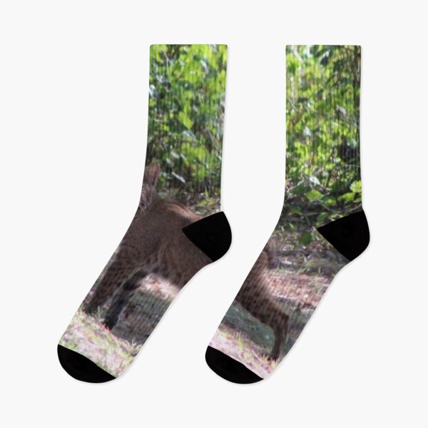 Item preview, The bobcat #2 designed and sold by Jmb67.