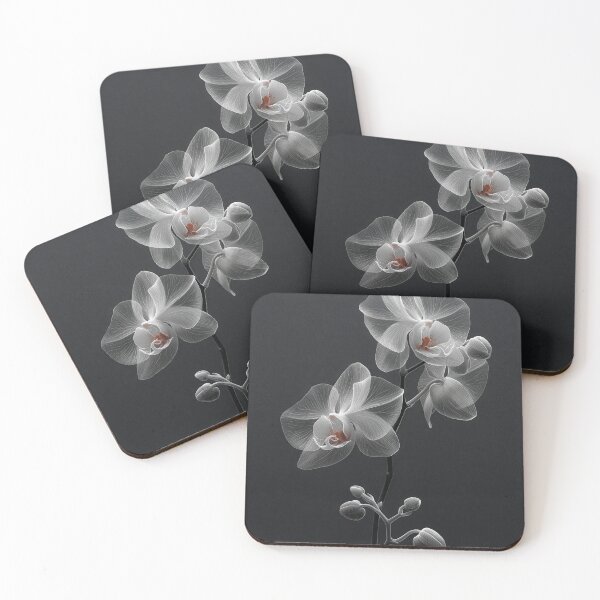 Item preview, Elegant Minimalist White Orchid - Fine Art Illustration designed and sold by SlowRegardArt.