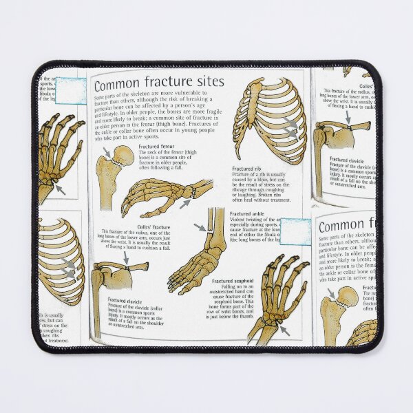 Item preview, anatomical bones drawings designed and sold by Cedartown.