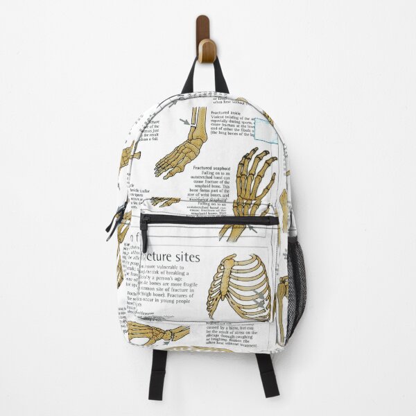 Item preview, anatomical bones drawings designed and sold by Cedartown.