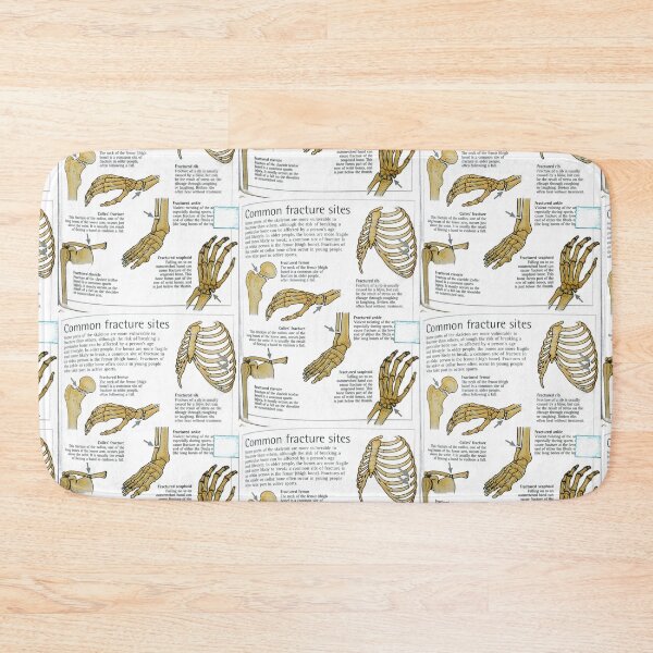 Item preview, anatomical bones drawings designed and sold by Cedartown.