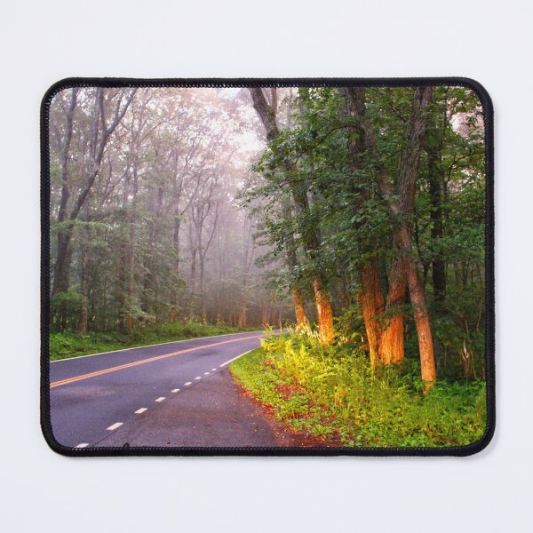 Item preview, Sunlit Forest Road at Dawn designed and sold by InezPhotography.