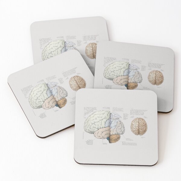 Item preview, Copy of brain medical drawing designed and sold by Cedartown.