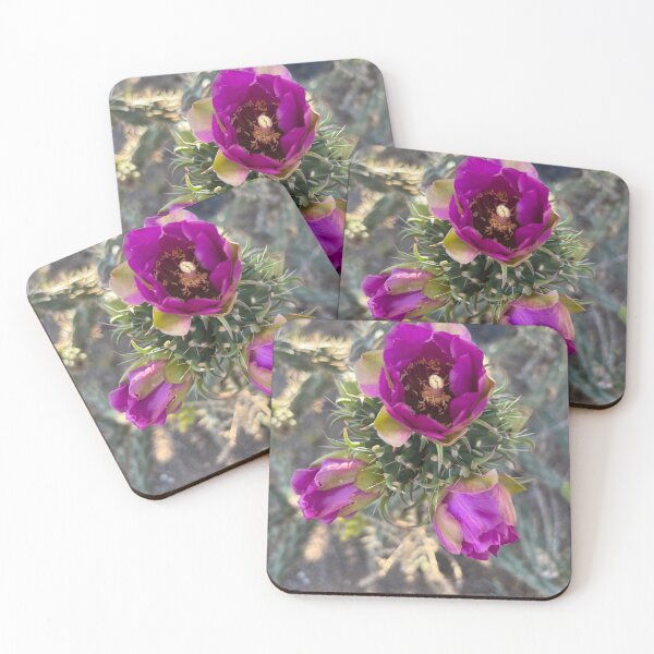 Item preview, Cane Cholla cactus magenta flower designed and sold by EmberAndPaint.