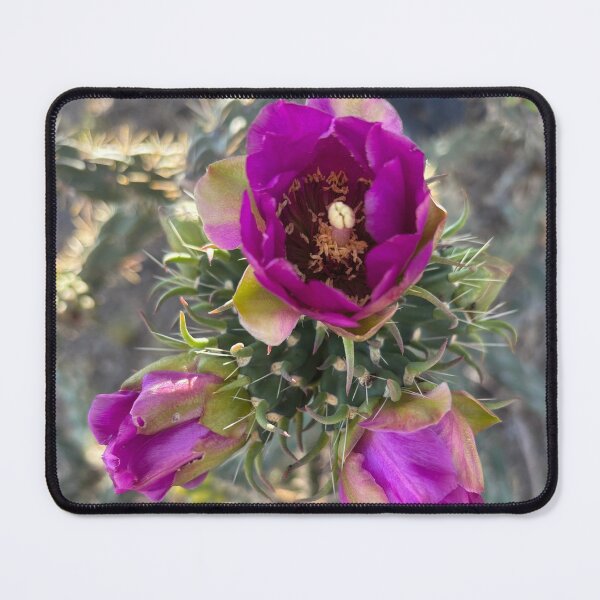 Item preview, Cane Cholla cactus magenta flower designed and sold by EmberAndPaint.