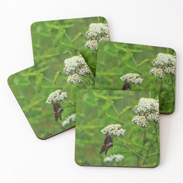 Item preview, Butterfly on Wild Flowers designed and sold by InezPhotography.