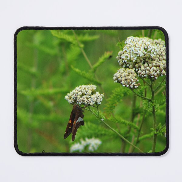 Item preview, Butterfly on Wild Flowers designed and sold by InezPhotography.