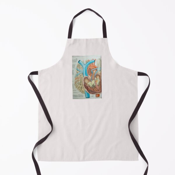 Item preview, anatomical heart designed and sold by Cedartown.