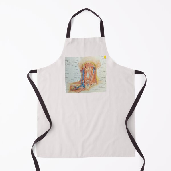 Item preview, muscles anatomy designed and sold by Cedartown.