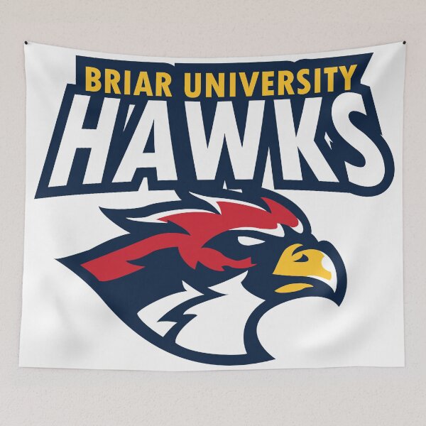 Item preview, Briar University Hawks Logo designed and sold by OddityDesign.