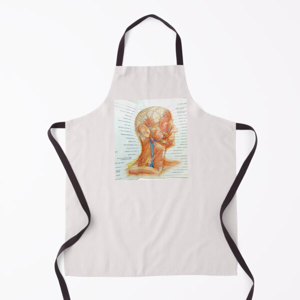 Item preview, muscle anatomy designed and sold by Cedartown.