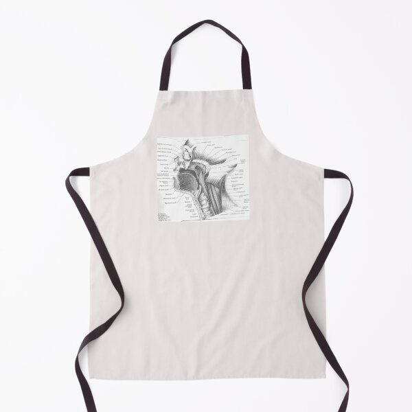 Item preview, muscle anatomy designed and sold by Cedartown.