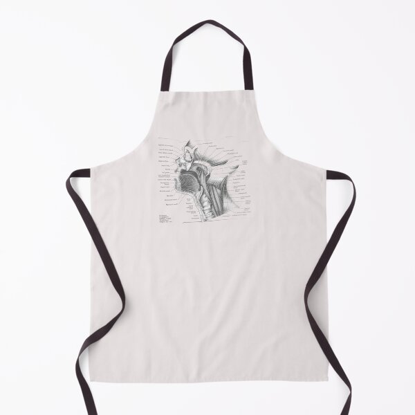 Item preview, muscle anatomy designed and sold by Cedartown.