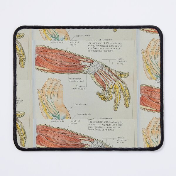 Item preview, muscle anatomy designed and sold by Cedartown.