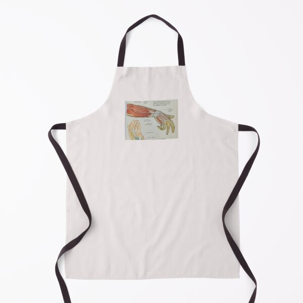 Item preview, muscle anatomy designed and sold by Cedartown.
