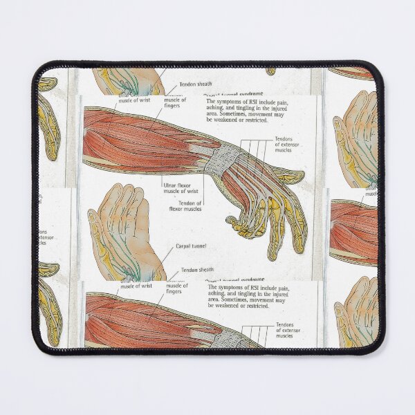 Item preview, muscle anatomy designed and sold by Cedartown.
