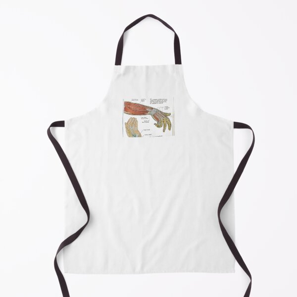 Item preview, muscle anatomy designed and sold by Cedartown.