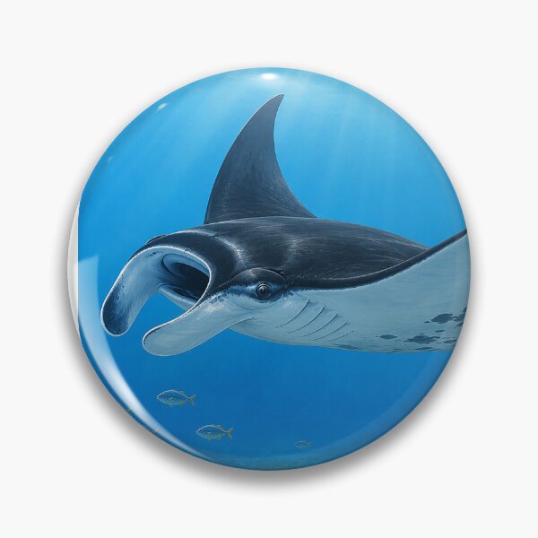 Item preview, Graceful Manta Over Coral Reef designed and sold by Pixel Junkies Studio.