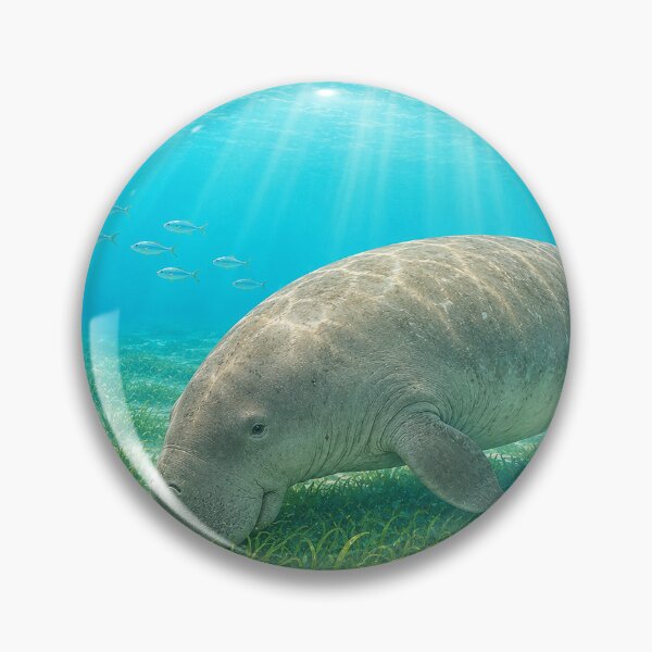 Item preview, Gentle Dugong Grazing in Sunlit Seagrass designed and sold by Pixel Junkies Studio.