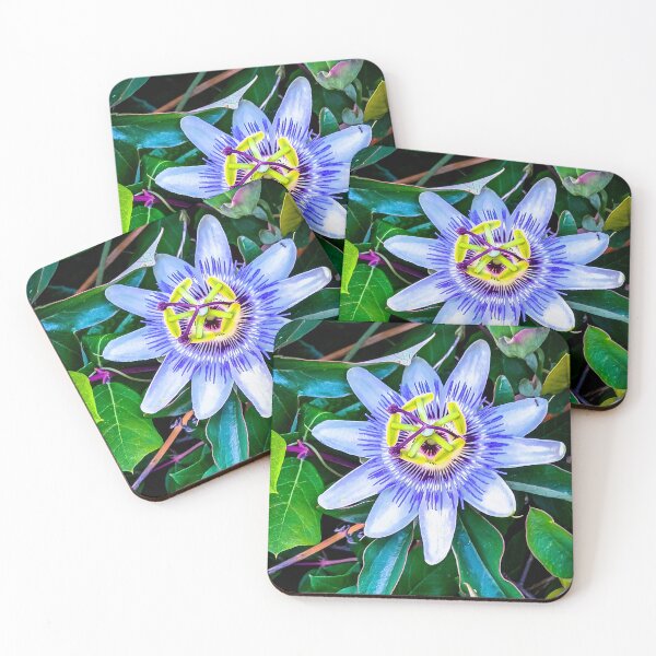 Item preview, Beautiful Passion Flower - Harcourt Station, Victoria, Australia designed and sold by Steven Jodoin.