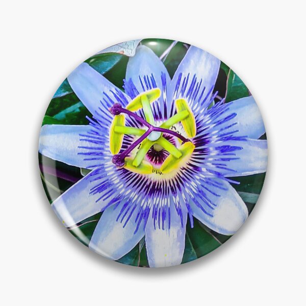 Item preview, Beautiful Passion Flower - Harcourt Station, Victoria, Australia designed and sold by Steven Jodoin.