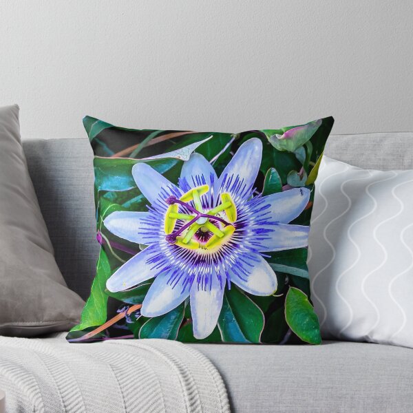 Item preview, Beautiful Passion Flower - Harcourt Station, Victoria, Australia designed and sold by Steven Jodoin.