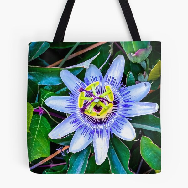 Item preview, Beautiful Passion Flower - Harcourt Station, Victoria, Australia designed and sold by Steven Jodoin.