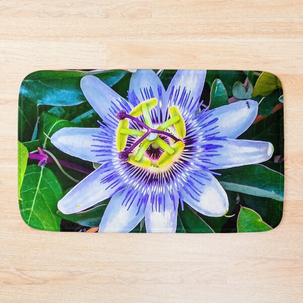 Item preview, Beautiful Passion Flower - Harcourt Station, Victoria, Australia designed and sold by Steven Jodoin.