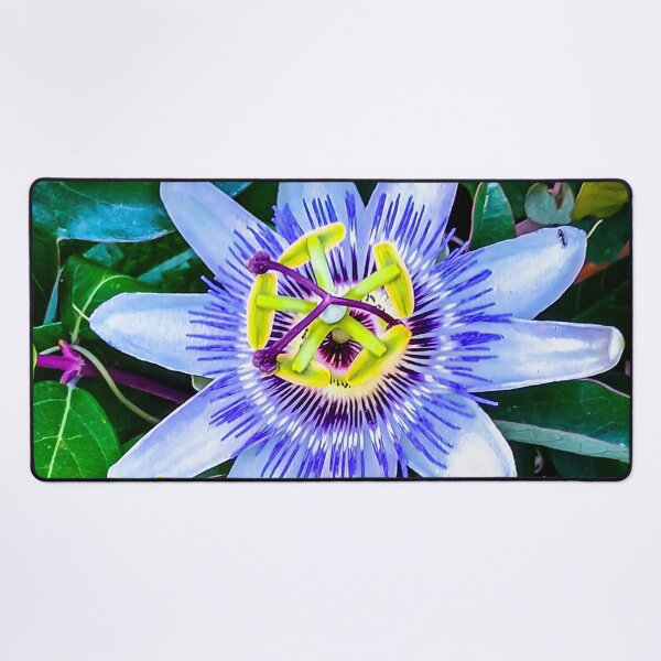 Item preview, Beautiful Passion Flower - Harcourt Station, Victoria, Australia designed and sold by Steven Jodoin.
