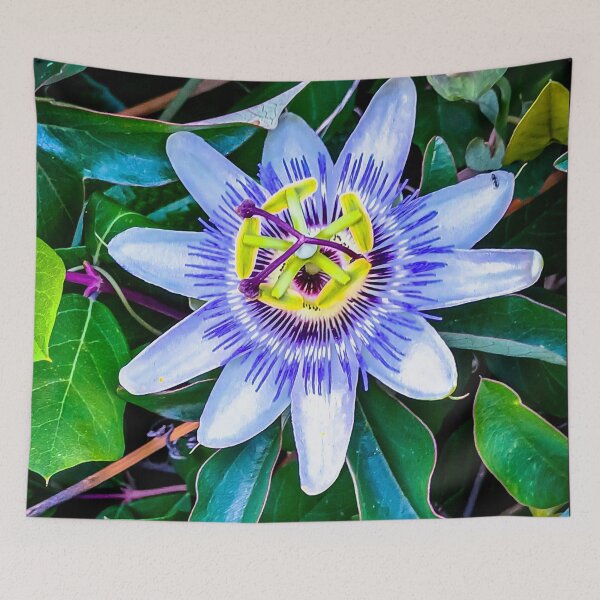 Item preview, Beautiful Passion Flower - Harcourt Station, Victoria, Australia designed and sold by Steven Jodoin.