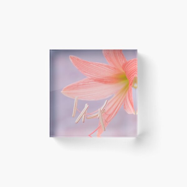 Item preview, Barbados Lily designed and sold by ROSE ANN BANILAR.