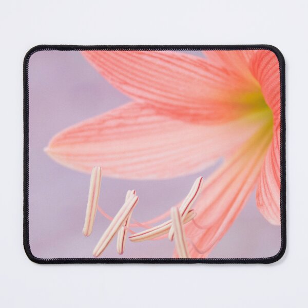 Item preview, Barbados Lily designed and sold by ROSE ANN BANILAR.