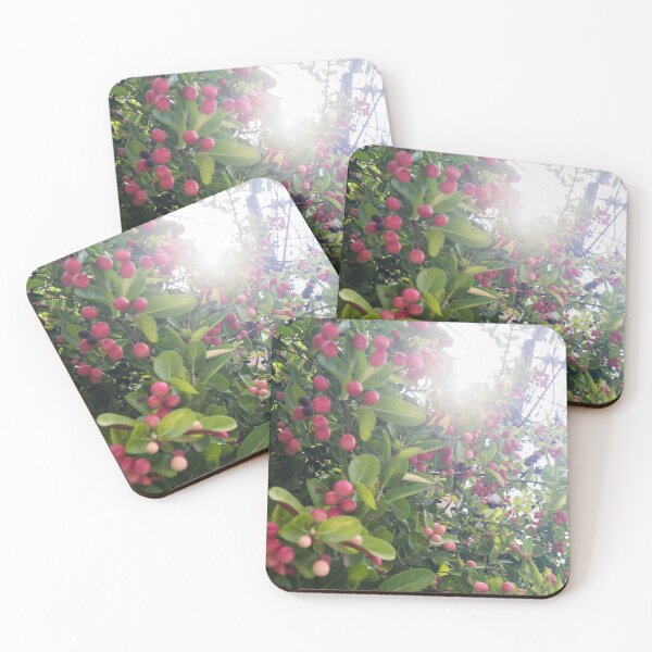 Item preview, Karonda fruits designed and sold by ROSE ANN BANILAR.