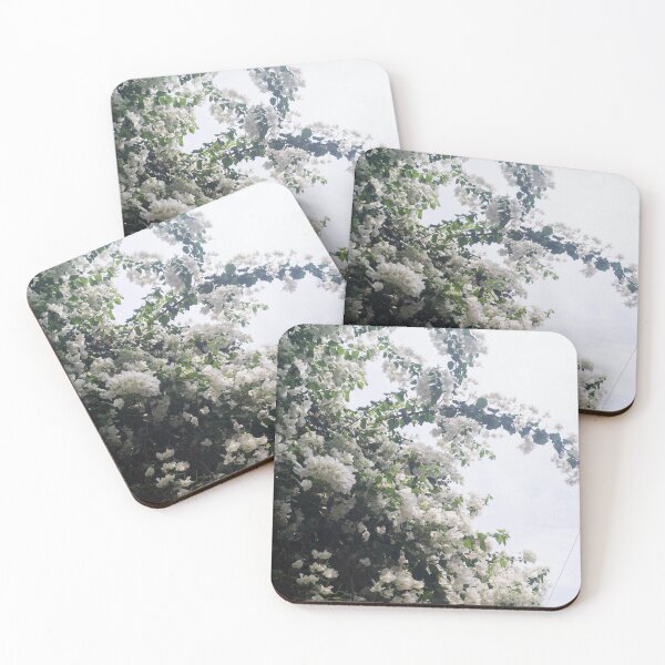 Item preview, Bracts of White Bougainvillea designed and sold by ROSE ANN BANILAR.