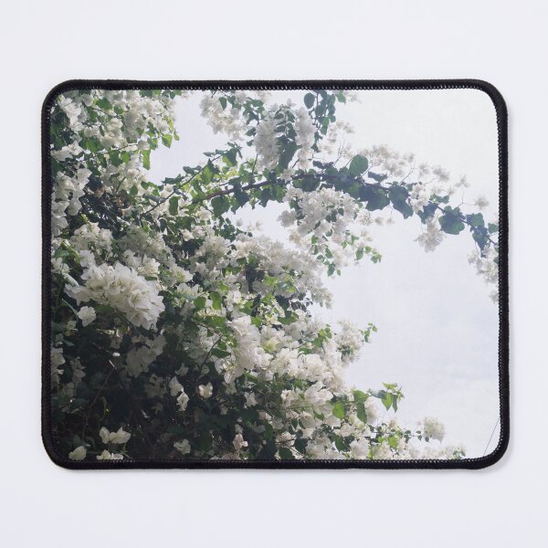 Item preview, Bracts of White Bougainvillea designed and sold by ROSE ANN BANILAR.