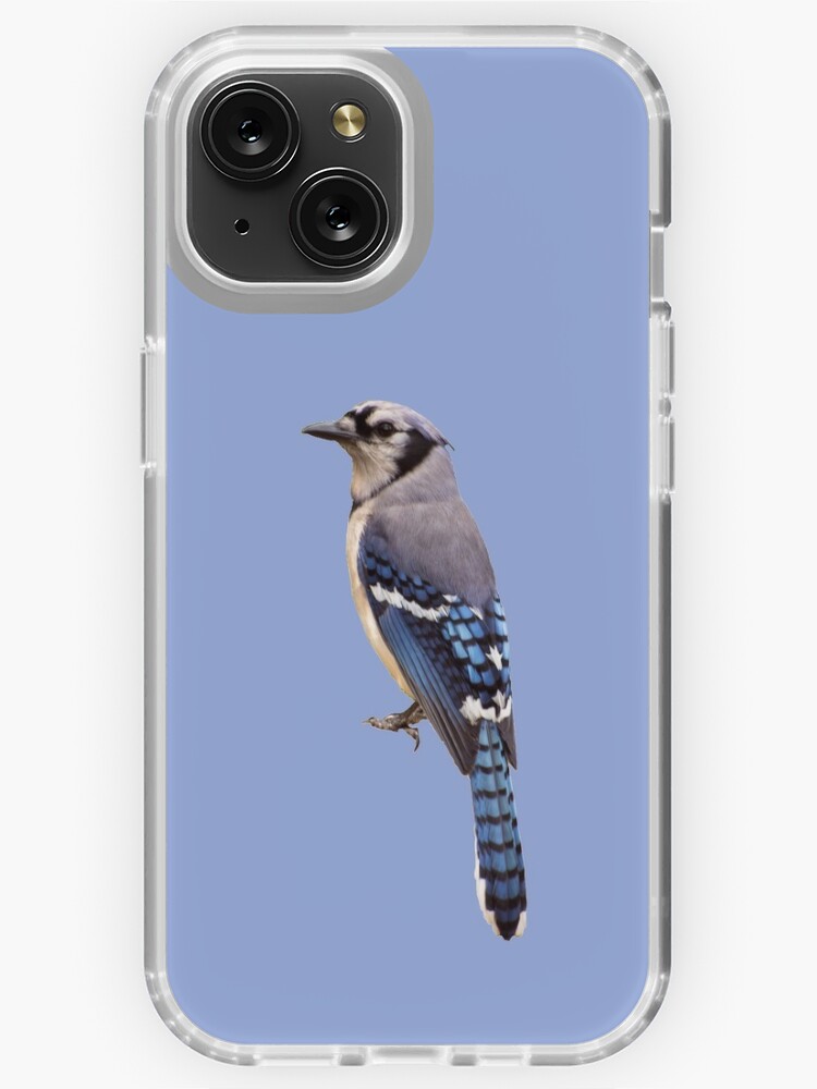 Toronto Blue Jays 1 iPhone 15, iPhone 15 Plus, iPhone 15 Pro