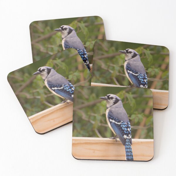 Item preview, Blue Jay designed and sold by Zina Stromberg.