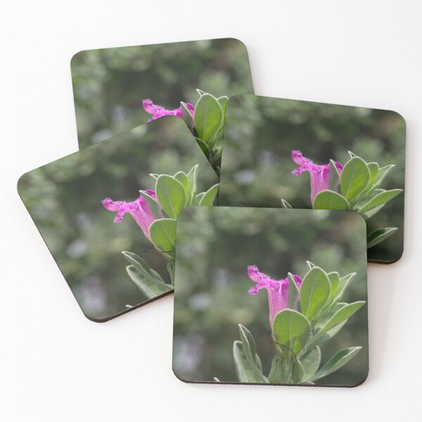 Item preview, Texas Sage_02 designed and sold by ROSE ANN BANILAR.