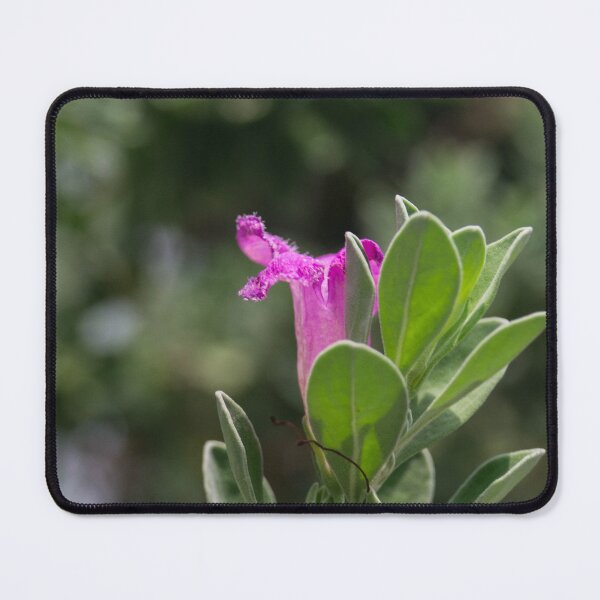 Item preview, Texas Sage_02 designed and sold by ROSE ANN BANILAR.