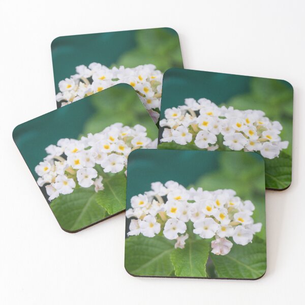 Item preview, White Lantana designed and sold by ROSE ANN BANILAR.