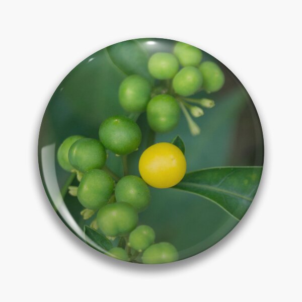 Item preview, Two-leaf Nightshade or Amatillo designed and sold by ROSE ANN BANILAR.